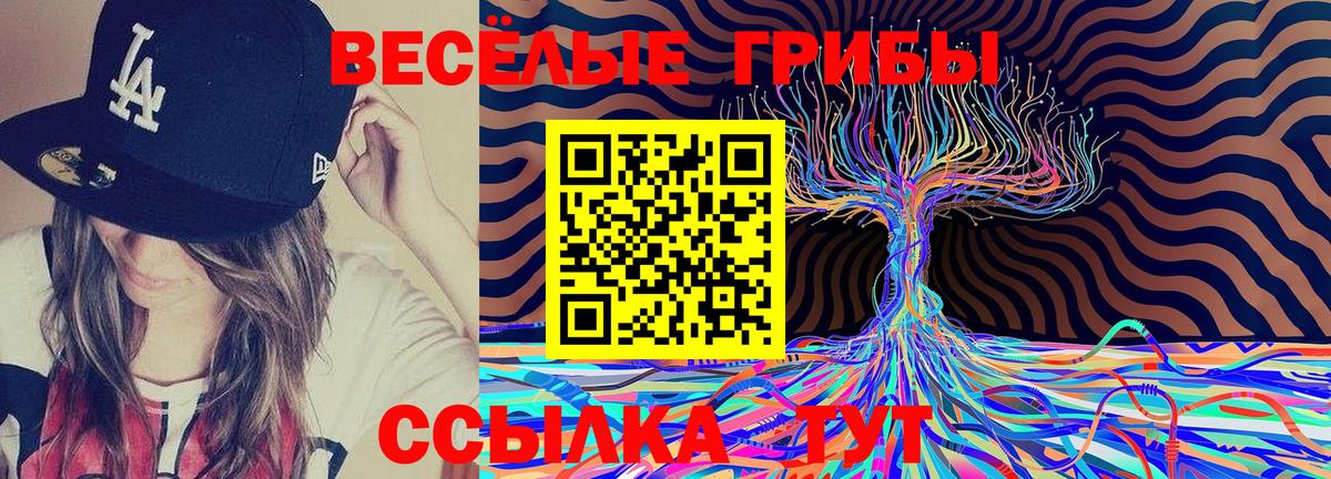 Псилоцибиновые грибы Cubensis  Череповец 