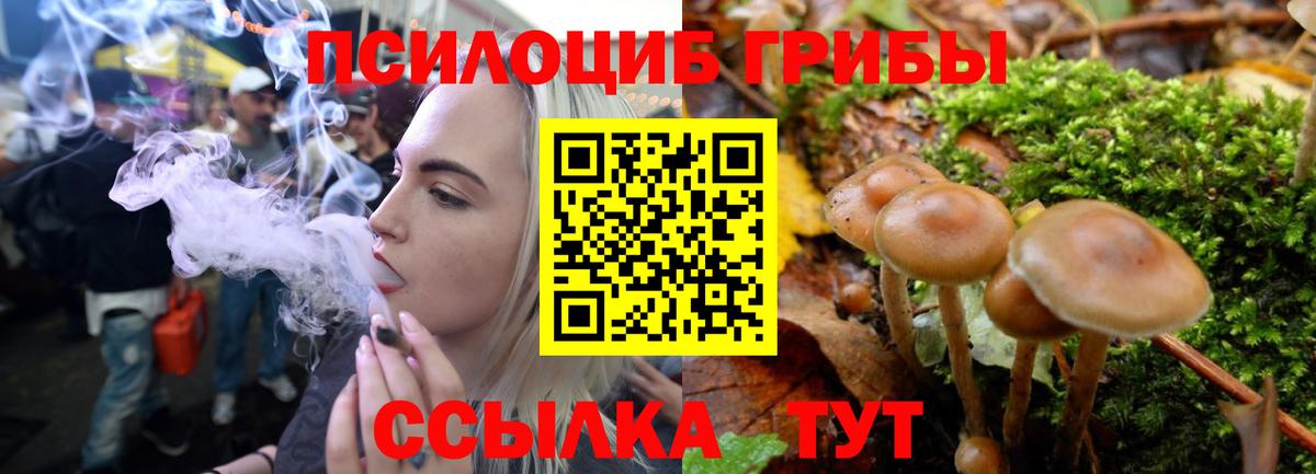 Череповец  Псилоцибиновые грибы Magic Shrooms  Вход с VPN 