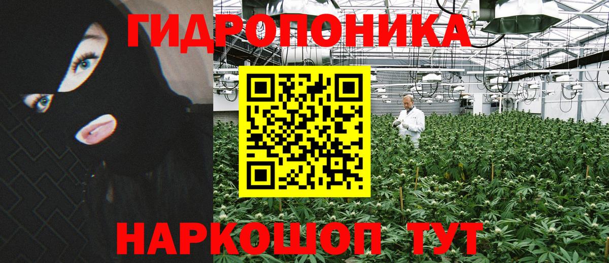 Конопля Ganja Череповец